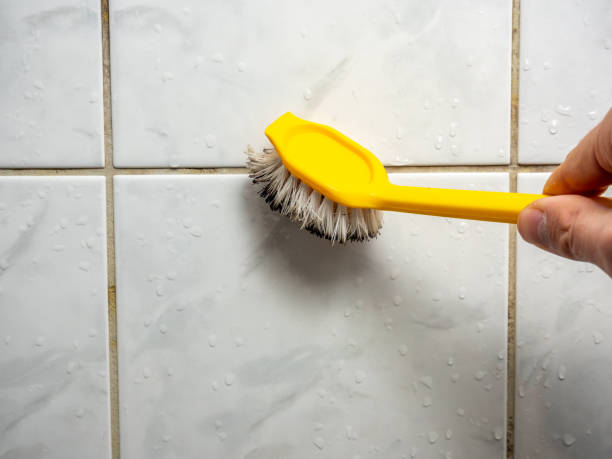 Best Mold Removal and Inspection  in Barrington Hls, IL