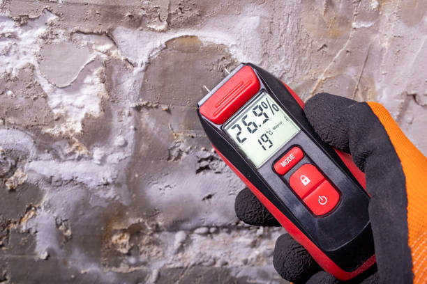 Best Commercial Mold Removal  in Barrington Hls, IL