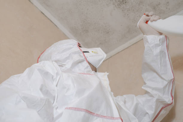 Best Local Mold Removal Service  in Barrington Hls, IL