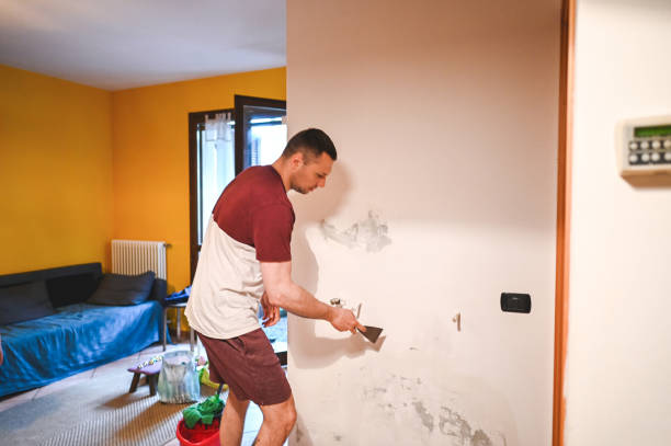 Best Emergency Mold Removal  in Barrington Hls, IL