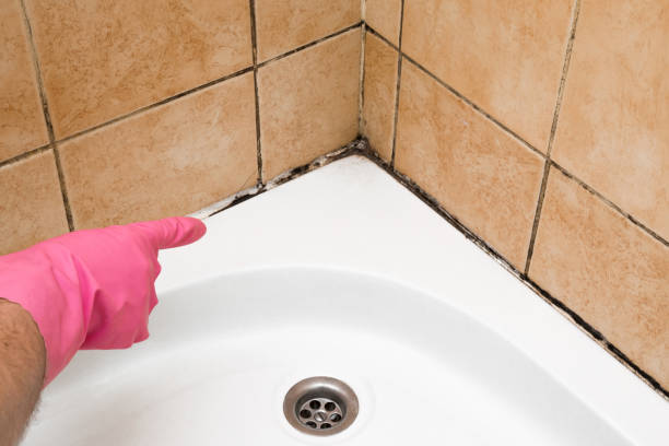 Best Water Damage Restoration  in Barrington Hls, IL